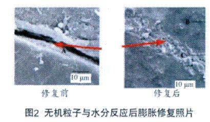 图2 无机粒子与水分反应后膨胀修复照片