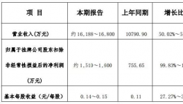 惠尔明发布2016 年年度业绩预告