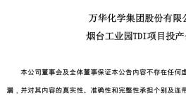 烟台万华30万吨/年TDI项目投产！