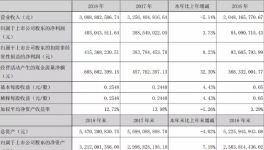 喜忧参半 中核钛白2018营收下滑5.14%，净利上涨7.18%